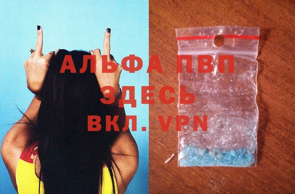Альфа ПВП Верея