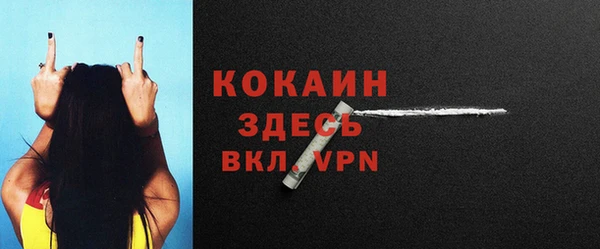 Альфа ПВП Верея