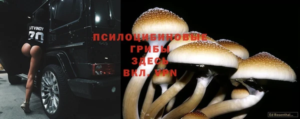 Альфа ПВП Верея