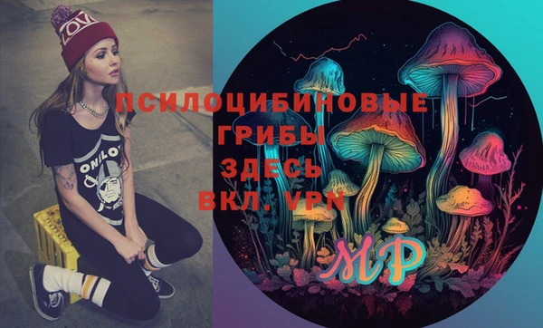 Альфа ПВП Верея