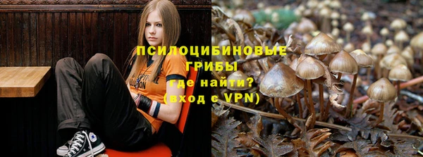 прущая мука Верхний Тагил
