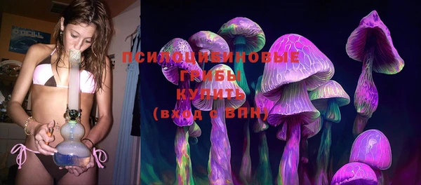 Альфа ПВП Верея