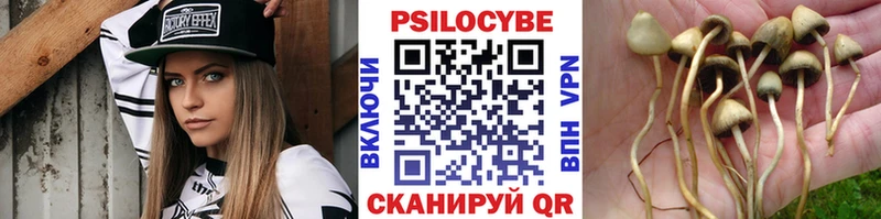 Галлюциногенные грибы Psilocybe  купить закладку  Якутск 